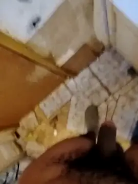 caramelbrownbbc14 (M young) - Life