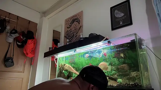 romeolovedark webcam