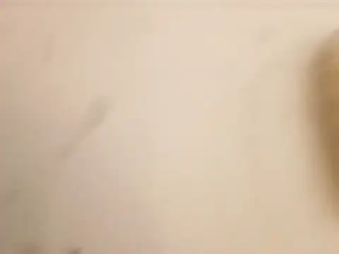 Preview of forestsmith69