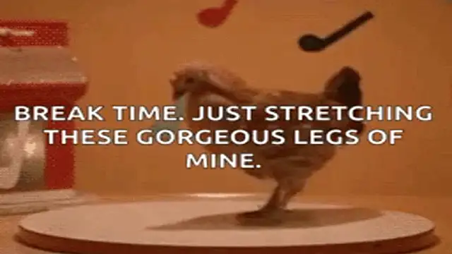 john_little_one1 (M grandpa) - #anal #bisexuals #cam2cam #cheapest-privates #chunky #cock-rating #dirty-talk #ejaculation #grandpas #handjob #hd #humiliation #interactive-toys #jerk-off-instruction #lovense #masturbation #oil-show #orgasm #recordable-privates #recordable-publics #sexting #small-audience #smoking #spanking #uk-models #uncut #white