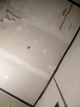 soloworld1988 (Ask my age) - Cumshot