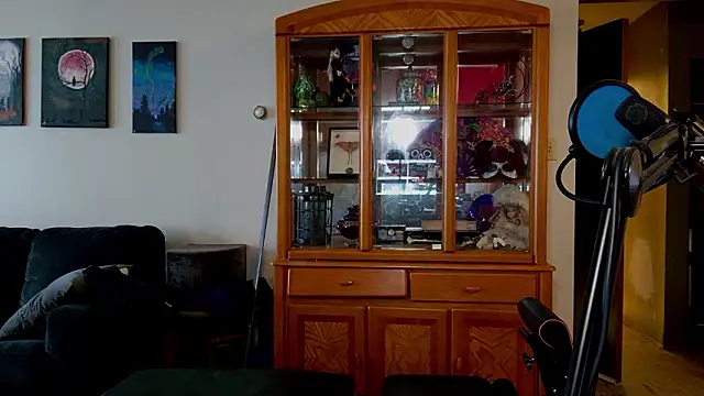 SimpleWorkOut webcam