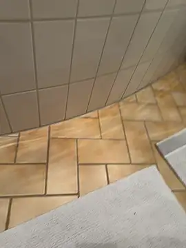 geilerboy2628 webcam