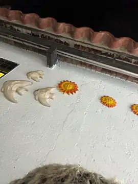 princesleo (M twink) - (Hear cock Leo5tk) and big squirt 🔫💦🌊