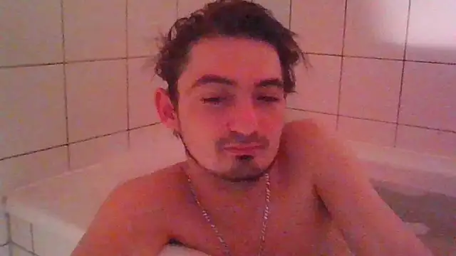 Preview of wesleymodel