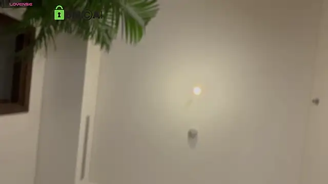 VincentSmith02 webcam