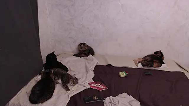 Olivia_Winston webcam