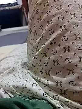 Hugopingonasa2024 webcam