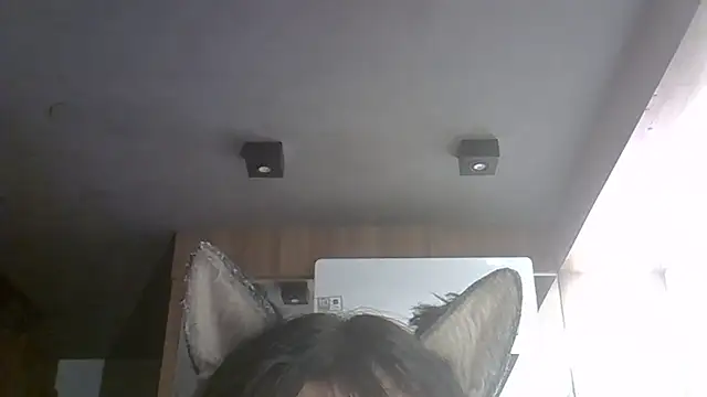 SkinnyKitten webcam