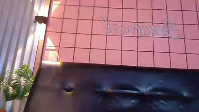 martin_killer webcam