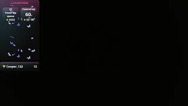 kittyhouse_hs webcam