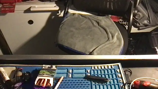 SinlessFreedom7 webcam