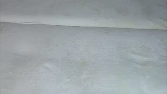 VeronaAppleberry webcam