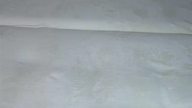 VeronaAppleberry webcam