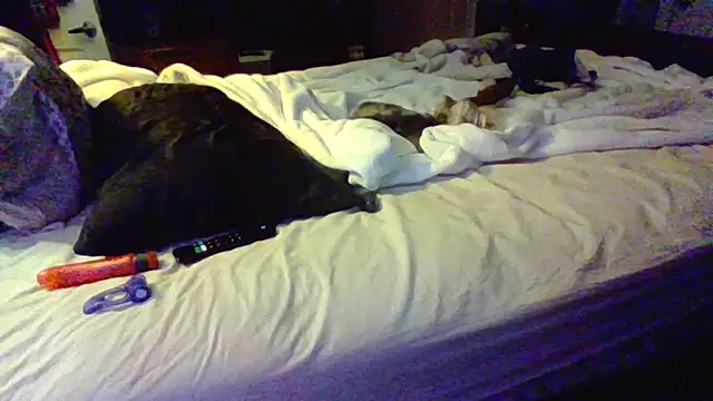 ThatPlatinumD webcam