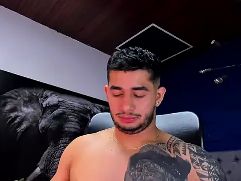 king_falconer (M young) - CUM SHOW