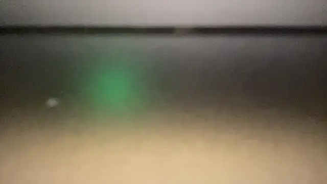 flexingplexico webcam