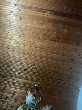 SALOME_KORLAND webcam