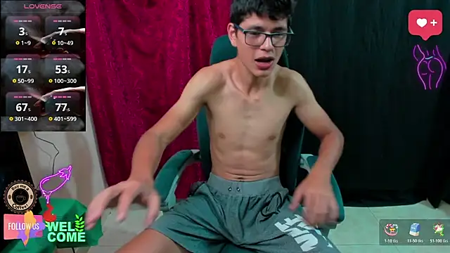 GoldenProject webcam