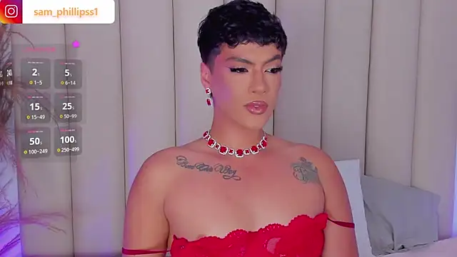 sam_phillipss webcam