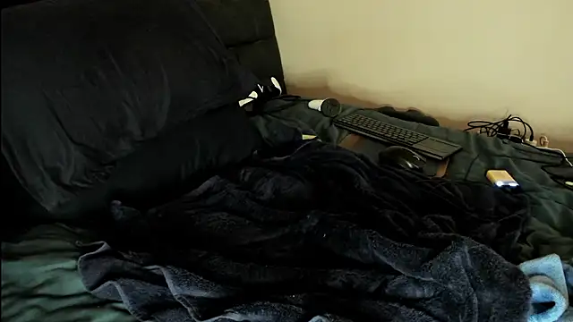 toolmaster2000 webcam