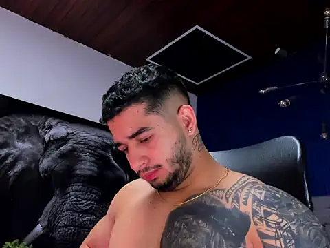 king_falconer webcam