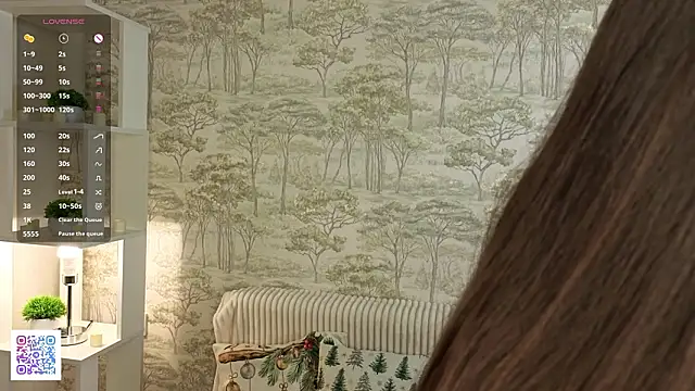 CarmanHenning webcam