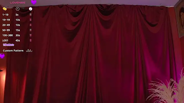 VicenteFerrer webcam