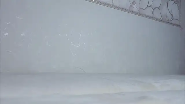 VeronaAppleberry webcam