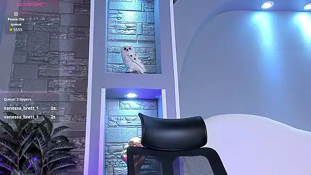 dominic_de_luca webcam