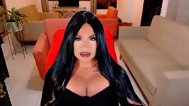 Punisher9inchs webcam