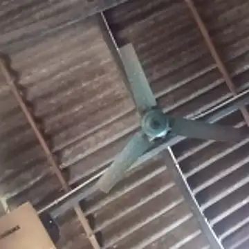 senguptadiya248 webcam