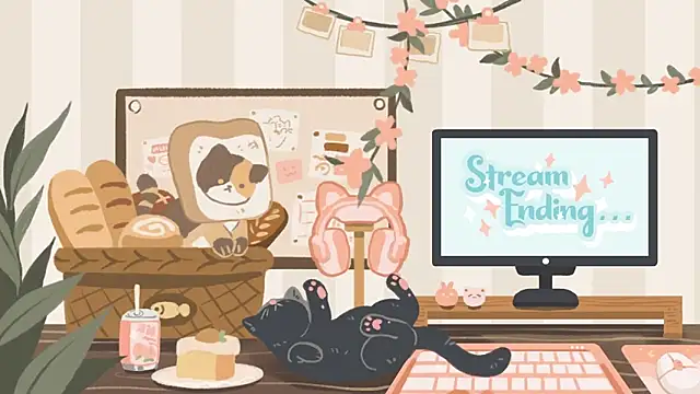 geekycastillo webcam