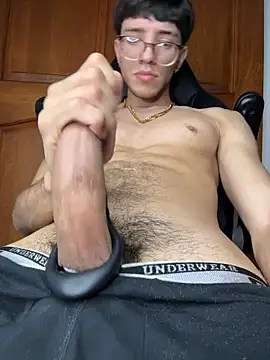 ArthurDavies_ webcam