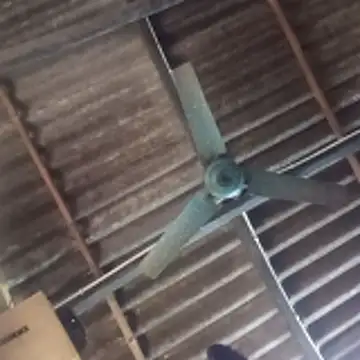 senguptadiya248 webcam