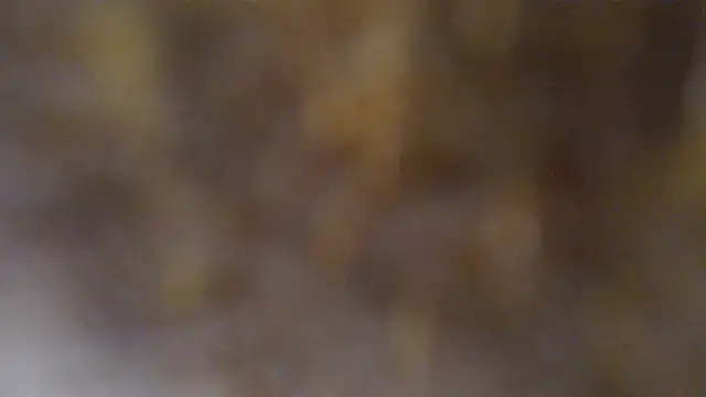 burberrry_ (F young) - MAKE ME HAPPY