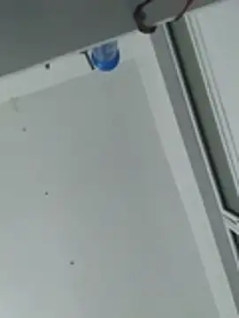 pikalindaxx - Pikalindaxx's free webcam