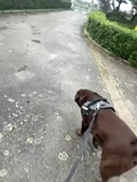 ANONIMO7735's Stripchat show and profile