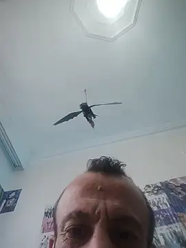 aktorihann - Aktorihann's free webcam - UK Sex Cams