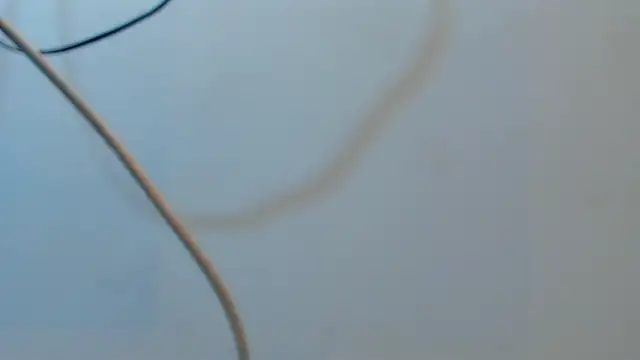 jacob_benelli (M young) - MEGACUM