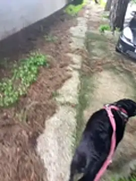 anonimo7735 (M grandpa) - cum sborrata