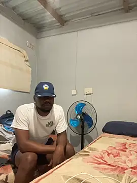 nathii451 (M young) - Dog