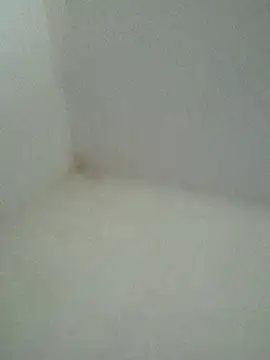 Juliocabarero webcam