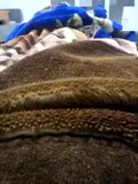 amin_dz-20 - Amin_Dz-20's free webcam - UK Sex Cams