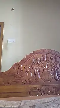 ragnar_telugu webcam