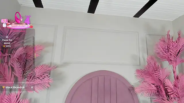 Tamaramilleer webcam