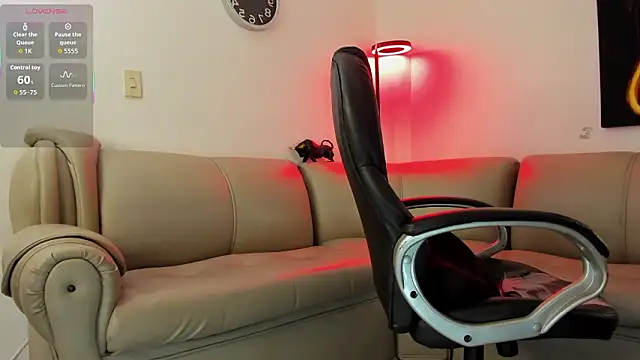 Nicolas_Fellener webcam