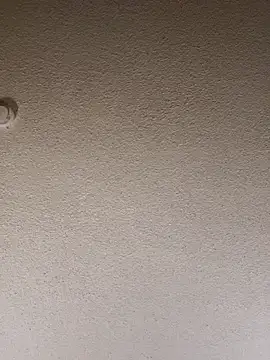 Roddog18 Live Webcam on Stripchat