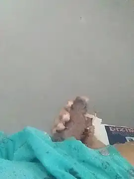 ferreirasantos123 webcam