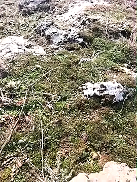 Sert_erkek21_ysm webcam